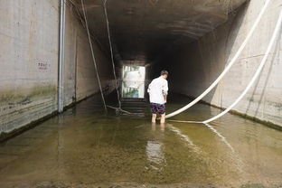 河南两男子驾车至积水涵洞遇难，造成此事故的原因是什么？