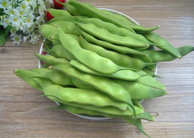 九月新豆角产自哪里