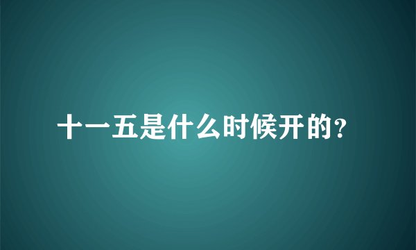 十一五是什么时候开的？