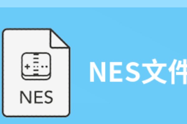 nes是什么的缩写