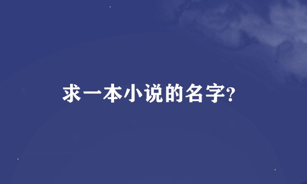 求一本小说的名字？