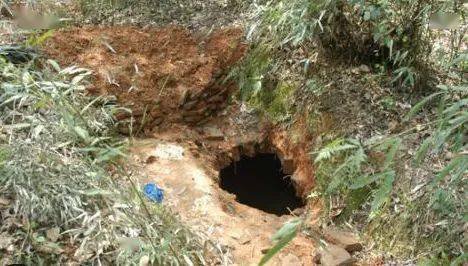 3男子盗挖土龙骨被埋身亡，值得同情吗？