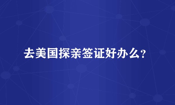 去美国探亲签证好办么？