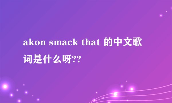 akon smack that 的中文歌词是什么呀??