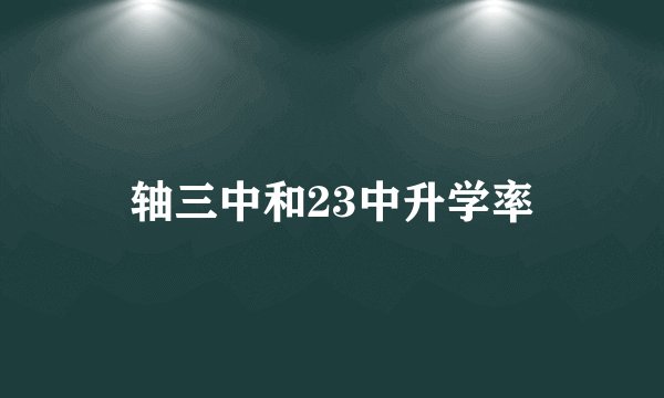 轴三中和23中升学率