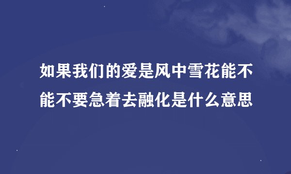 如果我们的爱是风中雪花能不能不要急着去融化是什么意思