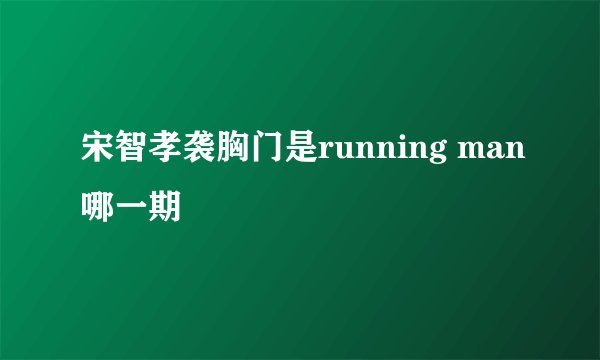 宋智孝袭胸门是running man哪一期
