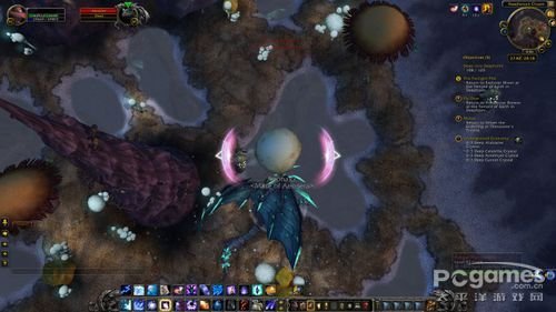 磷光石龙的简介