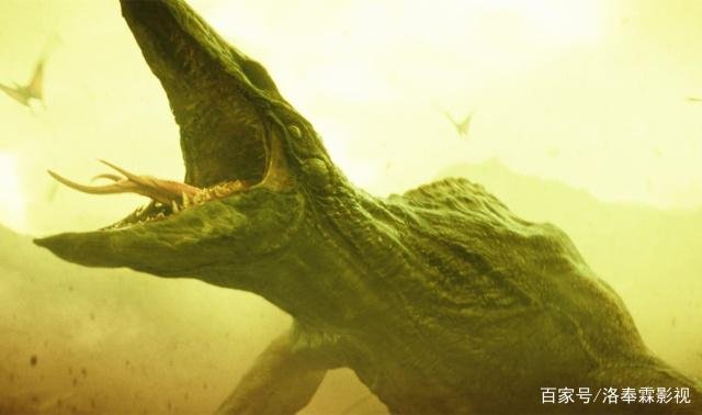 《哥斯拉》中的四大怪兽分别对战金刚,谁会输?谁会赢?