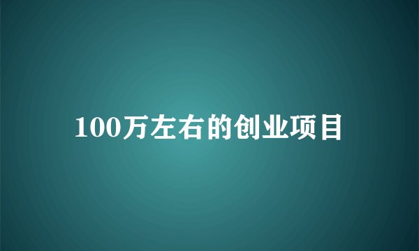 100万左右的创业项目