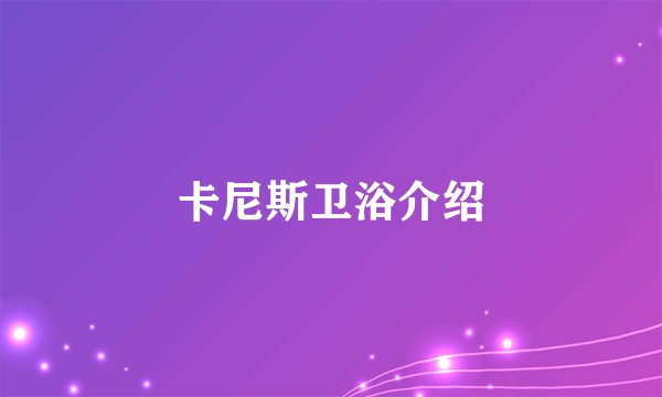 卡尼斯卫浴介绍