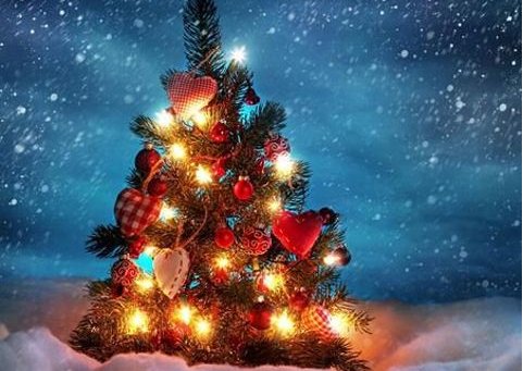 圣诞节英文怎么写拼写