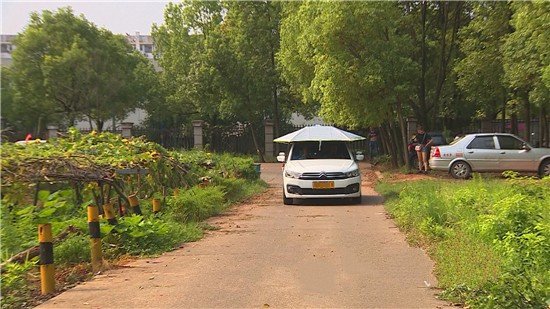 驾校学费多少钱？