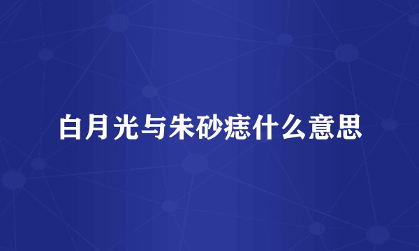 白月光与朱砂痣什么意思