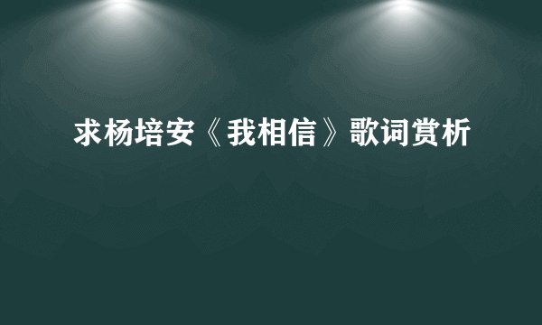 求杨培安《我相信》歌词赏析