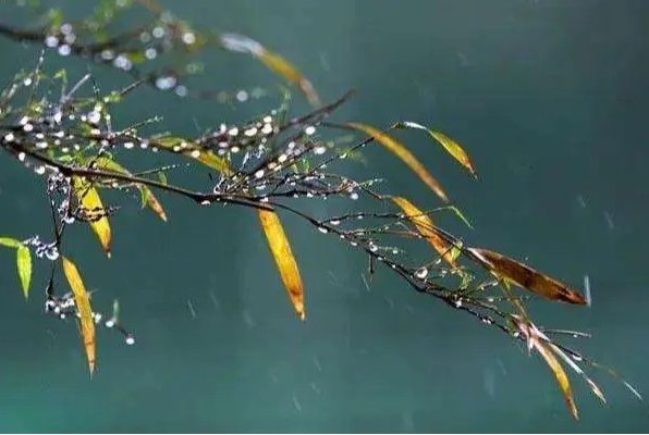 秋天的雨课文的生字组词和拼音