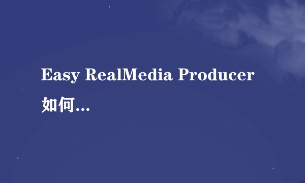 Easy RealMedia Producer如何设置参数？