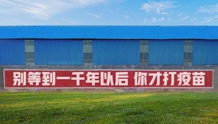 社区回应打疫苗标语走红，现在的口语化标语有何魅力之处？