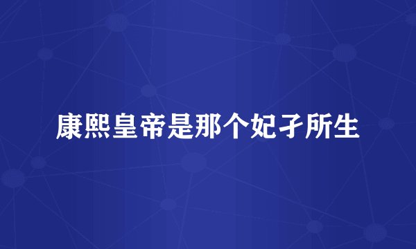 康熙皇帝是那个妃孑所生