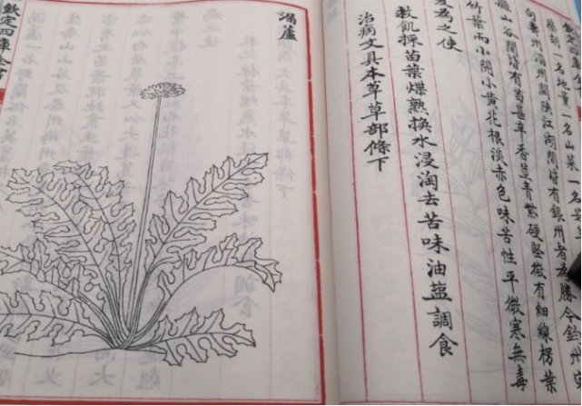 救荒本草是什么朝代？