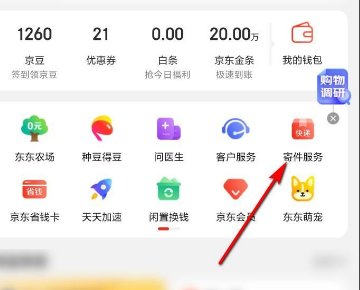 怎样查京东快递单号在哪里查