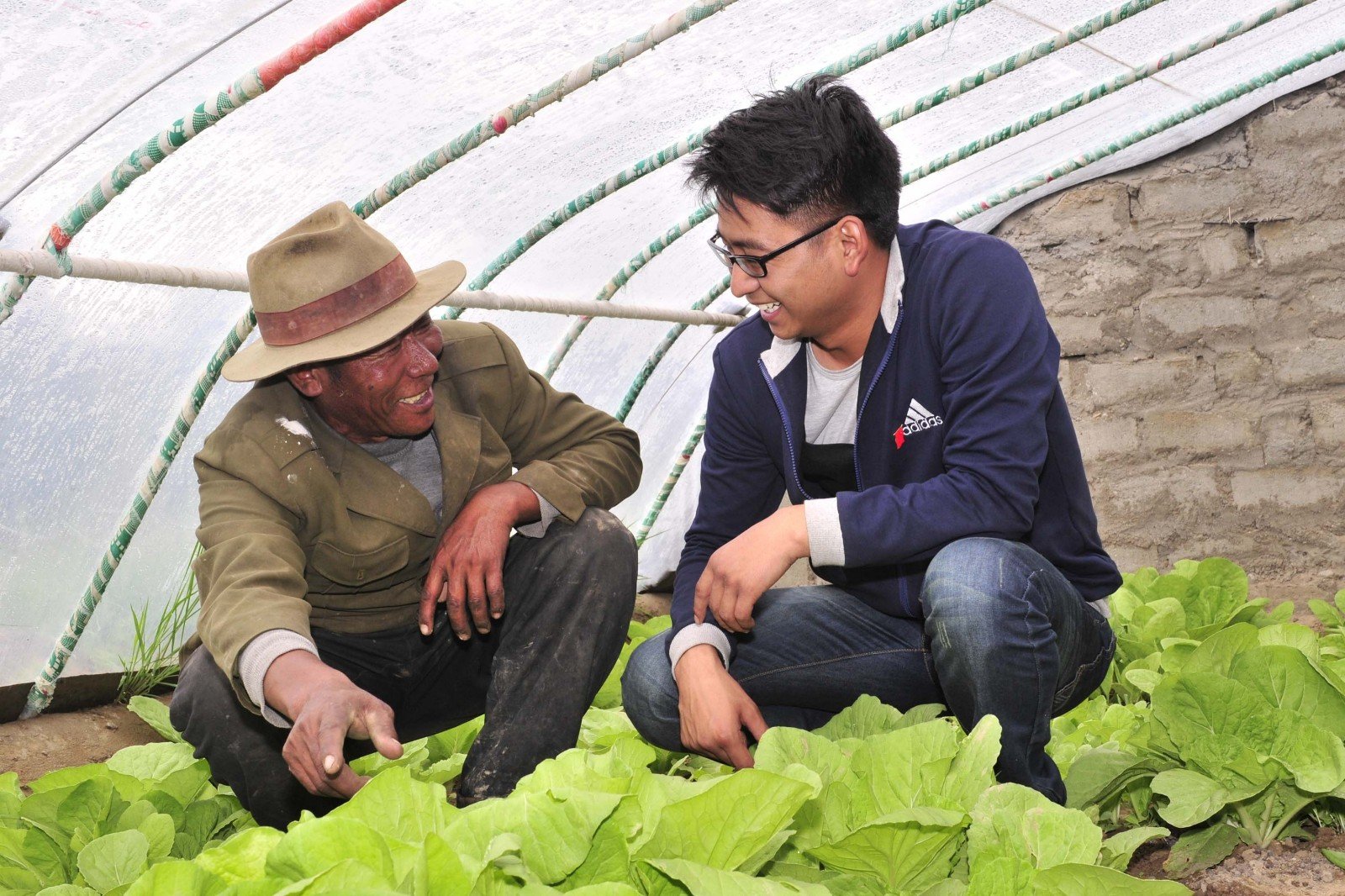 大学生当村官需要满足什么条件