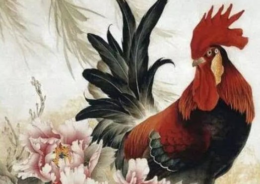 潦草塞责指什么动物