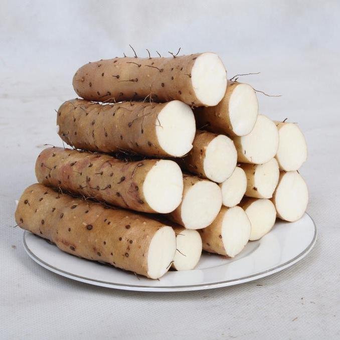 “中国山药之乡”指的是哪里?当地的生态环境如何?