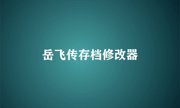 岳飞传存档修改器