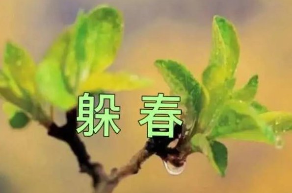 立春是半夜如何躲春