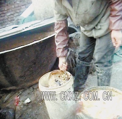 垃圾猪的相关规定