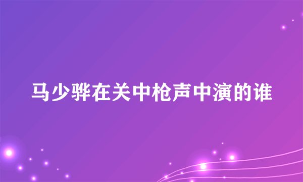 马少骅在关中枪声中演的谁