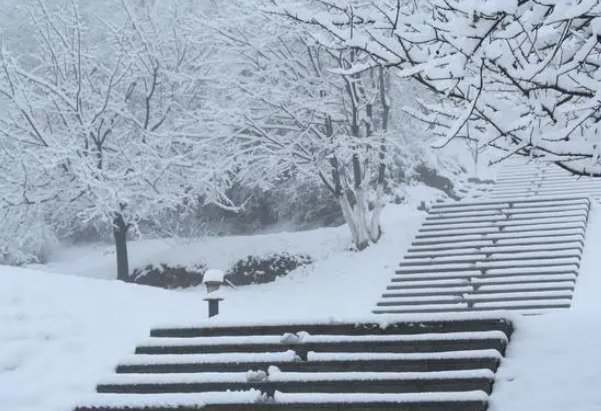 古诗描写小雪时节的诗句蚂蚁庄园