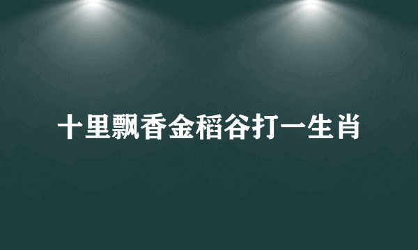 十里飘香金稻谷打一生肖