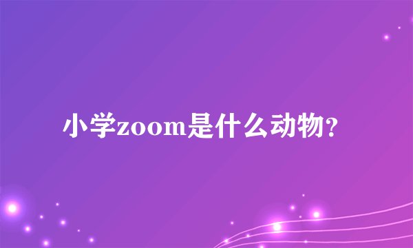 小学zoom是什么动物？