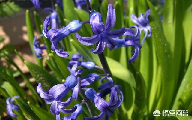 当你在18岁的时候,你做的最重要的一个选择是什么?