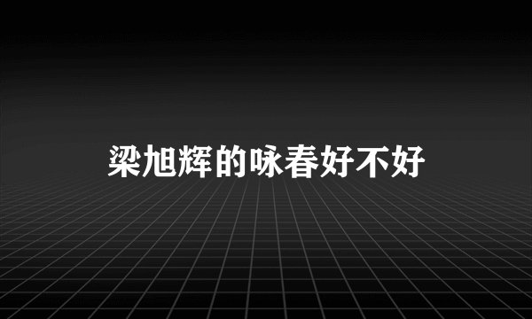 梁旭辉的咏春好不好
