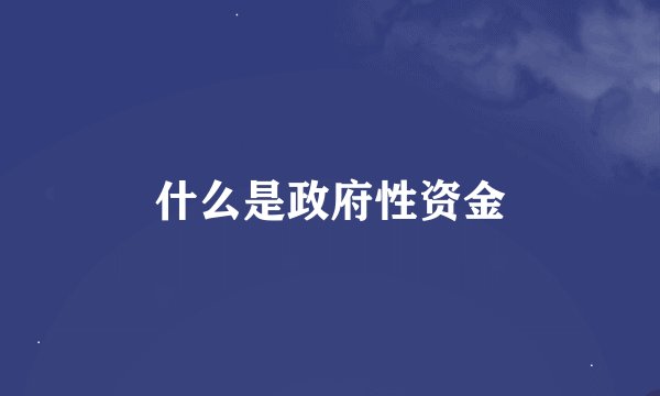 什么是政府性资金