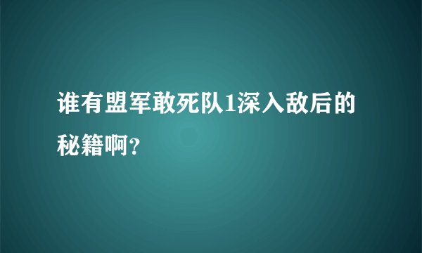 谁有盟军敢死队1深入敌后的秘籍啊？