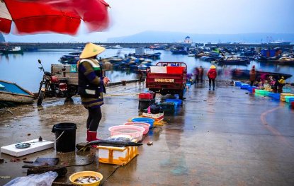 广西北海退房潮损失达1548万，为何会出现退房潮？