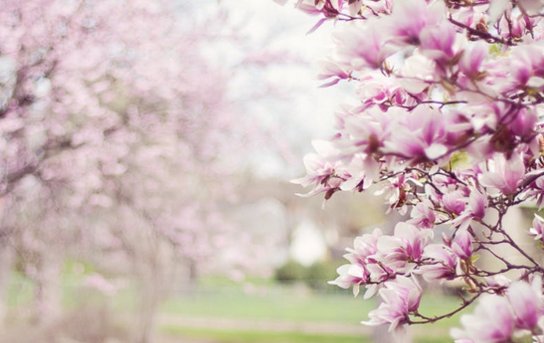 2019年2月4日几点几分立春