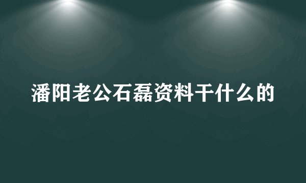 潘阳老公石磊资料干什么的