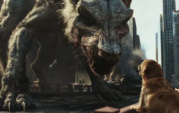 有谁知道有什么动物类的恐怖片或者灾难片