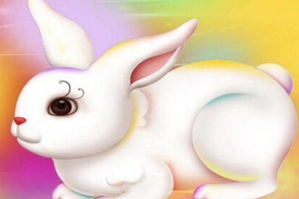 黑牛白角猜生肖