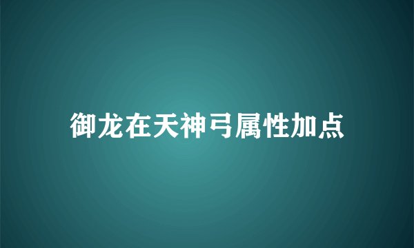 御龙在天神弓属性加点