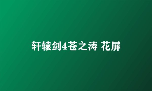 轩辕剑4苍之涛 花屏