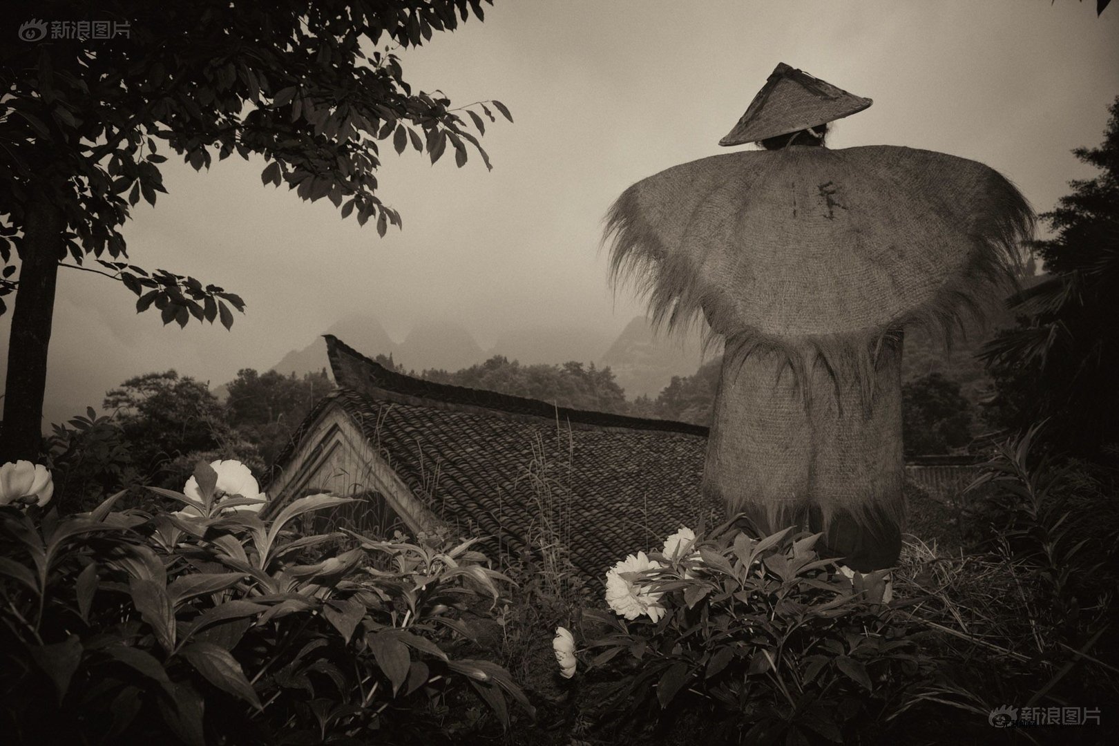 道士育成法的正文