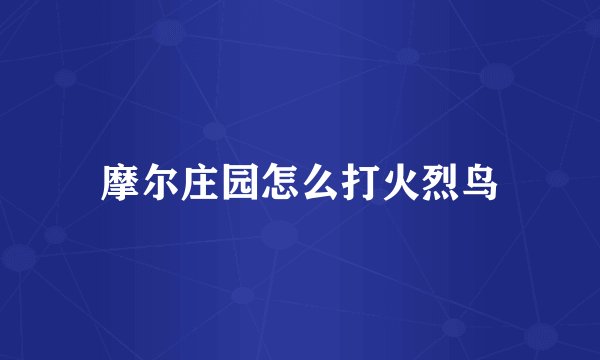 摩尔庄园怎么打火烈鸟