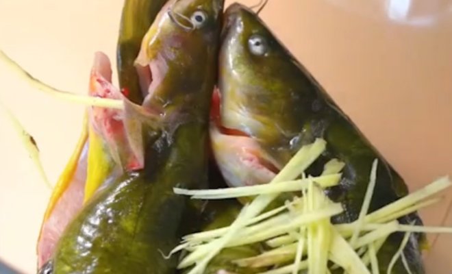 清蒸黄嘎鱼怎么做清蒸黄嘎鱼家常做法清蒸黄嘎鱼的做法