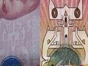 跪拜猫的网帖原形